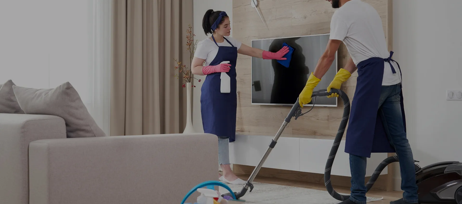 <? echo Model_CompanyDetails::getAttribute('companyName'); ?>